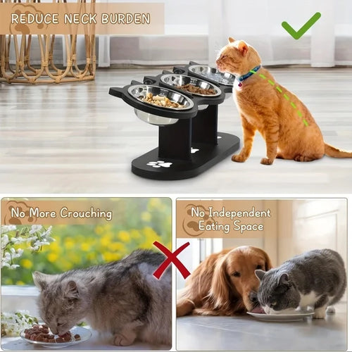 3-Bowl Elevated Cat Feeding Station