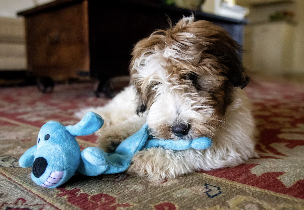 Smiling Loofa Mat Plush Dog Toy, 12 Inches Long, 13 Squeakers