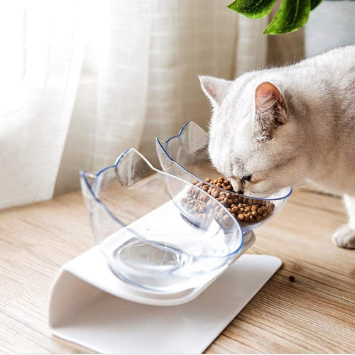 Elevated Feeding Station