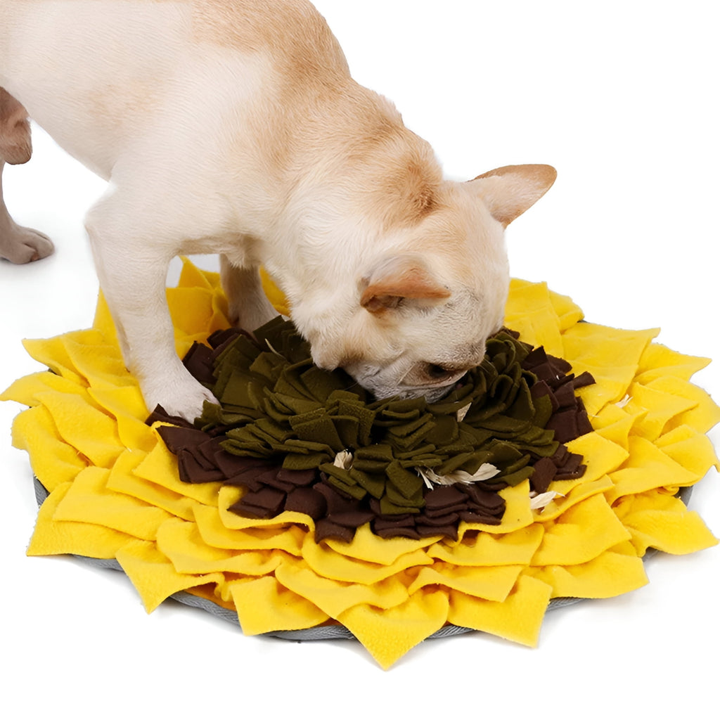 Adorable Feeding Mat Snuffle Mat for Pet Dog with Non Slip and Machine Washable Snuffle Mat for Large Dogs 38X38In