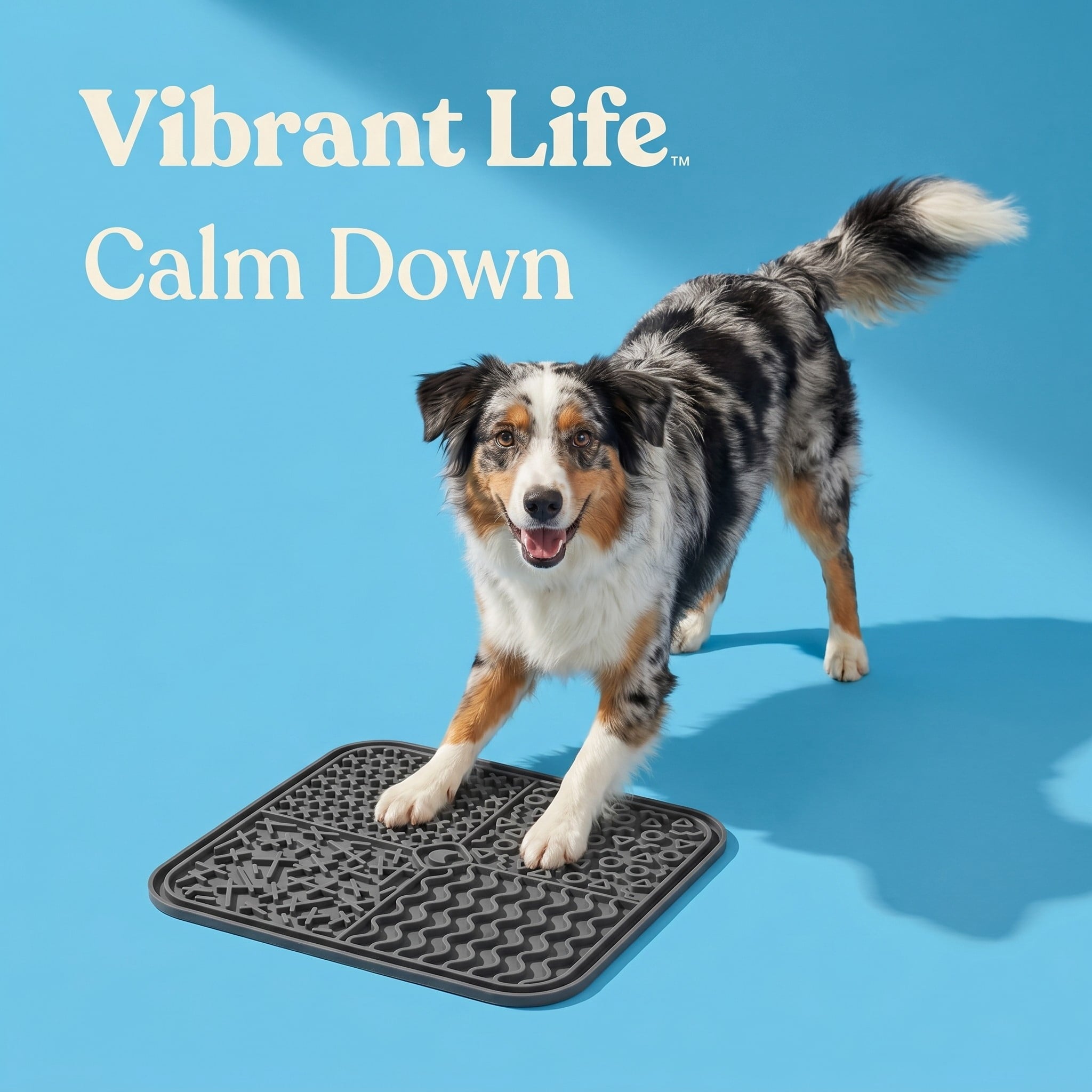 Silicone Lick Mat