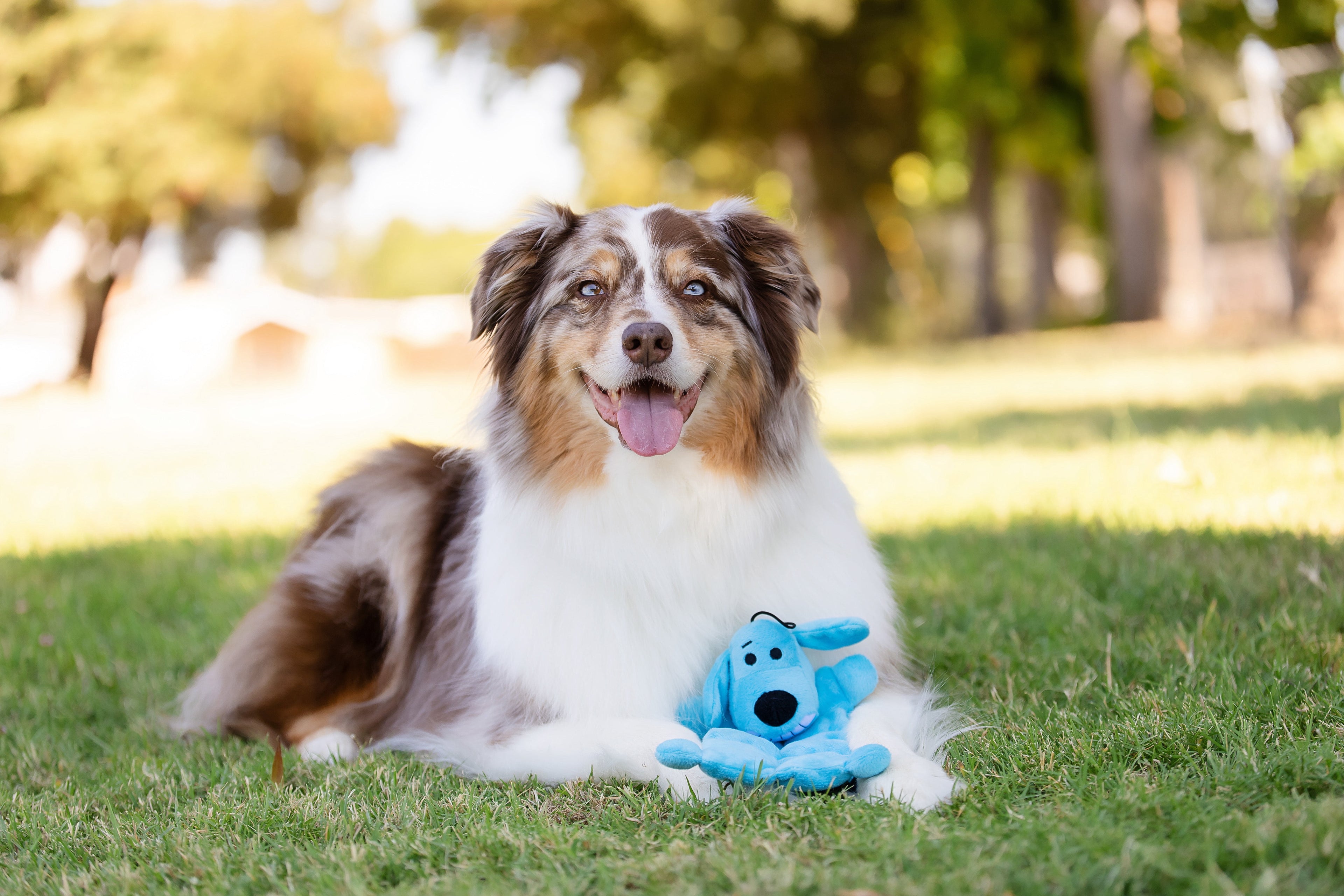 Smiling Loofa Mat Plush Dog Toy, 12 Inches Long, 13 Squeakers