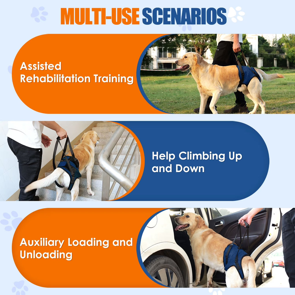 Dog Lift Harness - Hind Leg Support for Medium and Large Dogs, Adjustable Lift Aid for Elderly, Injured, or Arthritic Pets Recovering from Surgery or Mobility Issues