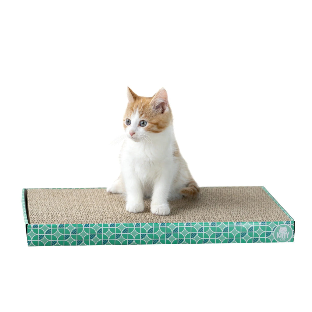 Corrugated Cat Scratching Pads with Catnip, 3-Pack