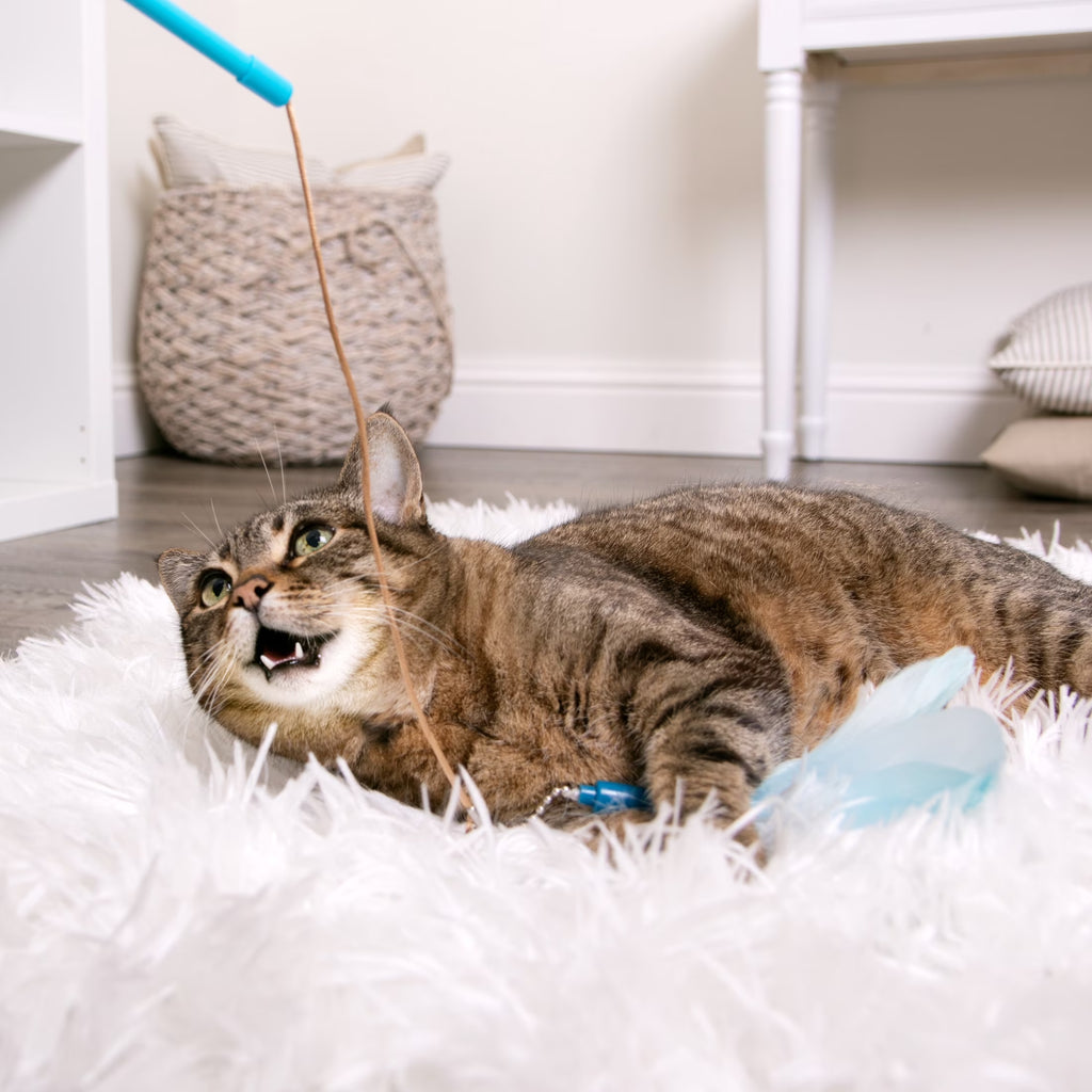 Frisky Flyer, Interactive Cat Toy, Extendable and Retractable Wand with Feathers