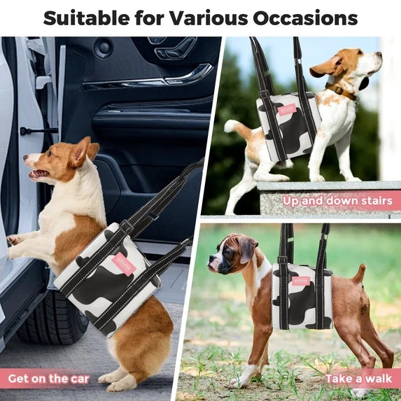 Cow Print Dog Hind Leg Lift Harness