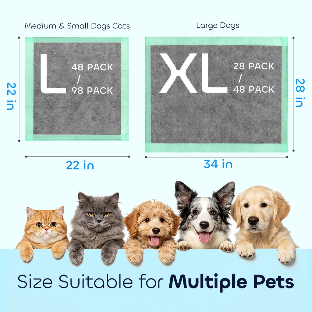 Disposable Pee Pads for Training & Senior Dogs