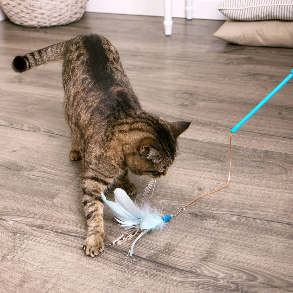 Frisky Flyer, Interactive Cat Toy, Extendable and Retractable Wand with Feathers