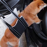 A Shiba Inu dog entering a car with the help of a mobility support sling. 