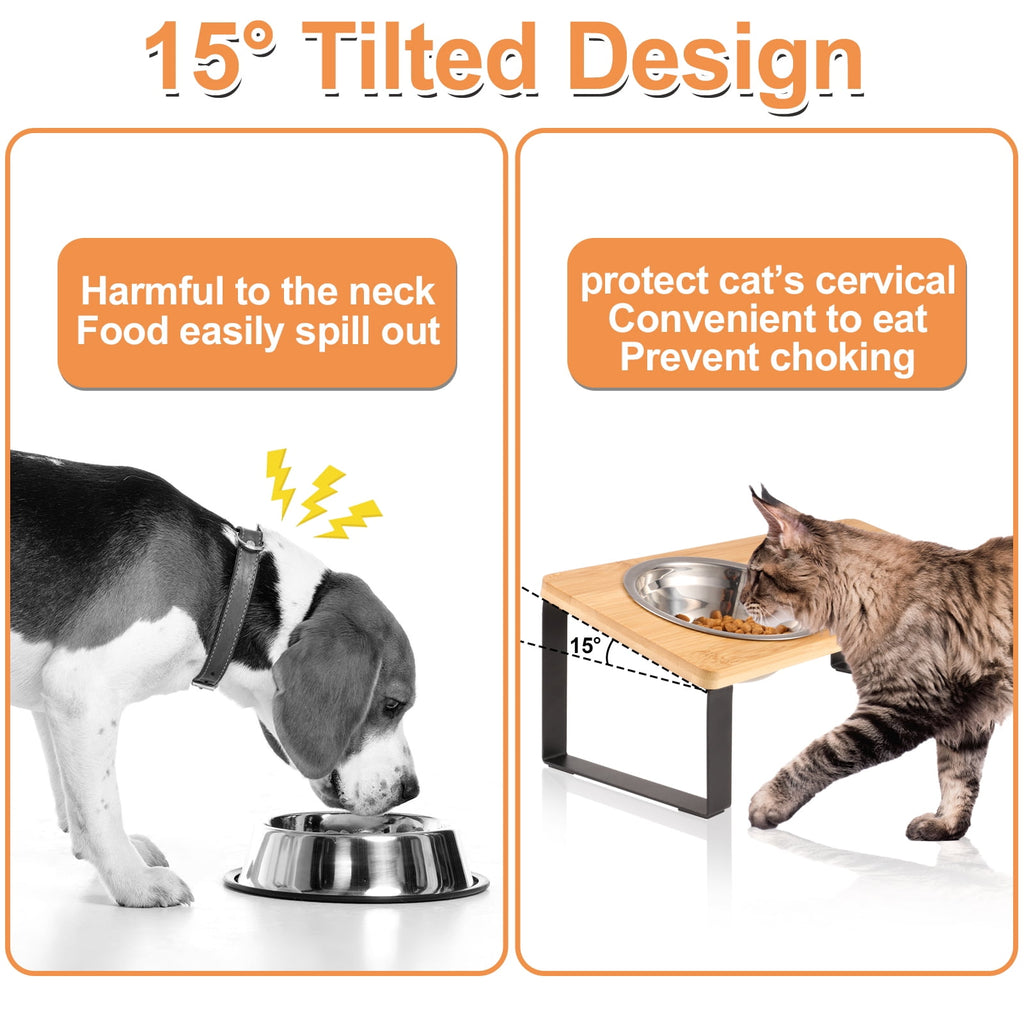 Cat Food Bowls, Elevated Stainless Steel Cat Bowls, 15 Degree Tilted Raised Bowls for Food and Water, with Stand and anti Vomit Feeding Station for Indoor Cats and Small Dogs(Stainless Steel)