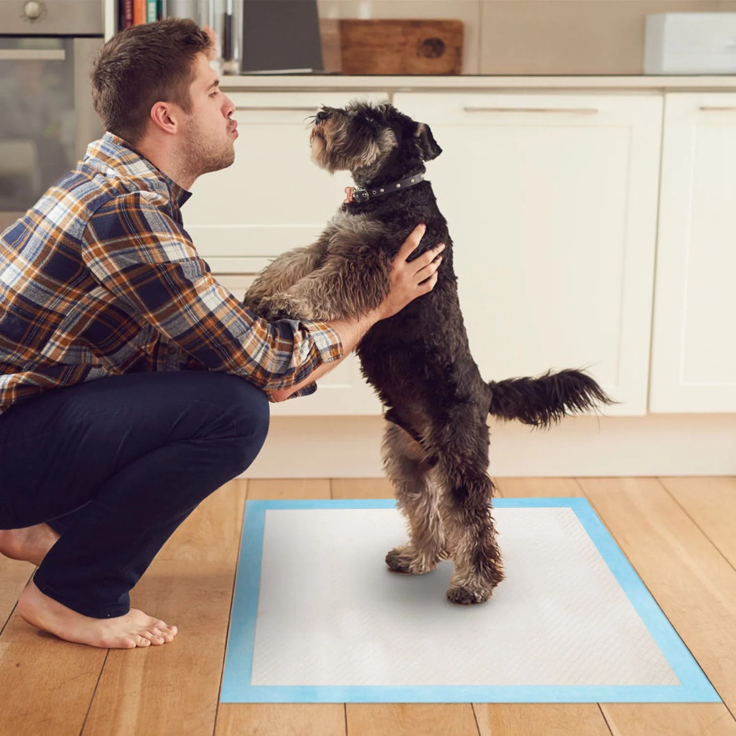 Disposable Pee Pads for Senior Dogs 