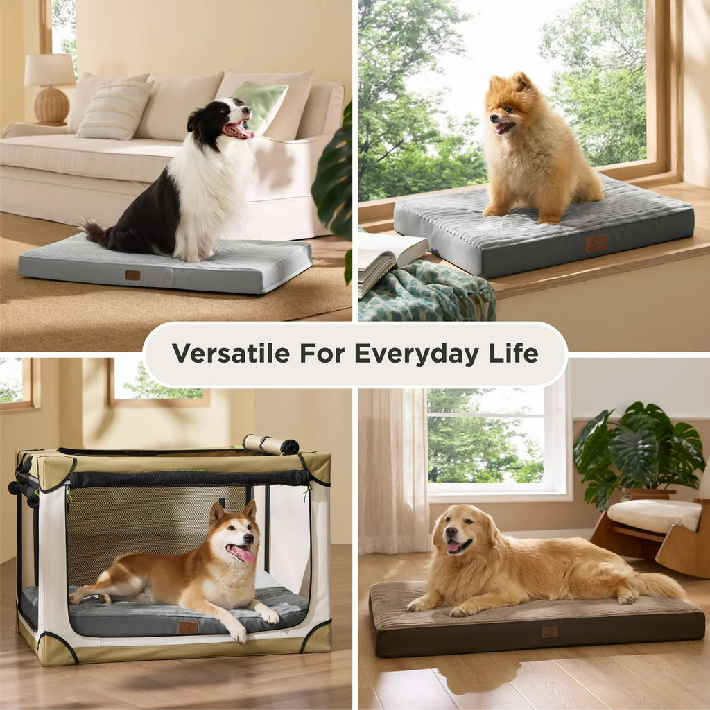 Orthopedic Dog Bed with Washable Cover