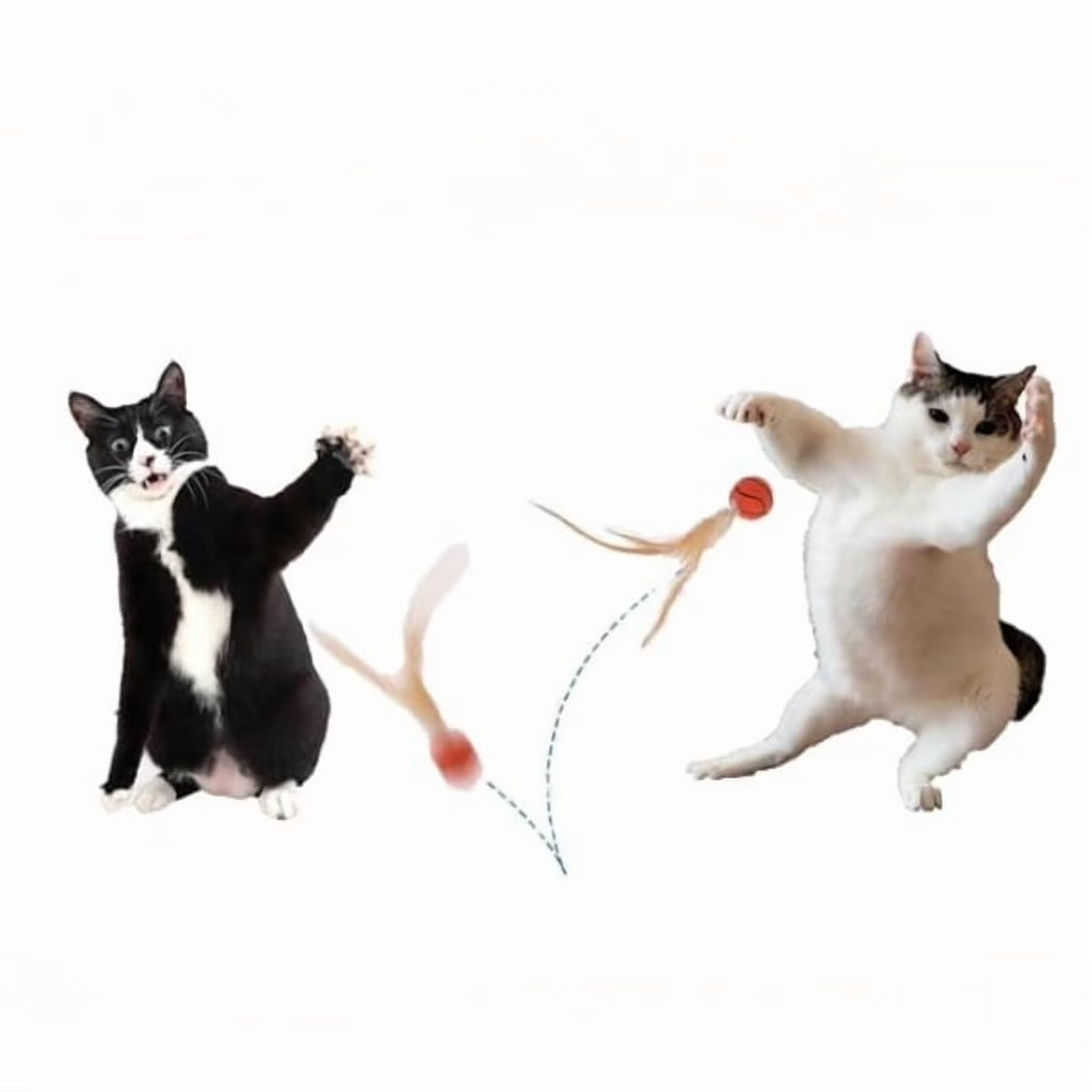 Loopunk 6 Pcs Feather Ball Cat Toy,Interactive Feather Bouncy Ball Toy Set for Cats,Mini and Elastic,Suitable for Pets to Play Indoors and Outdoors