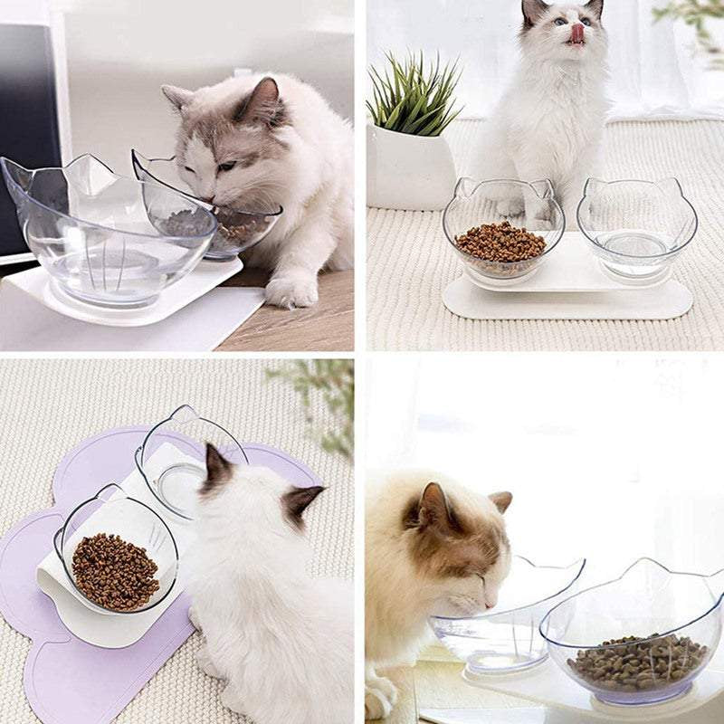 Elevated Feeding Station for Senior Cats