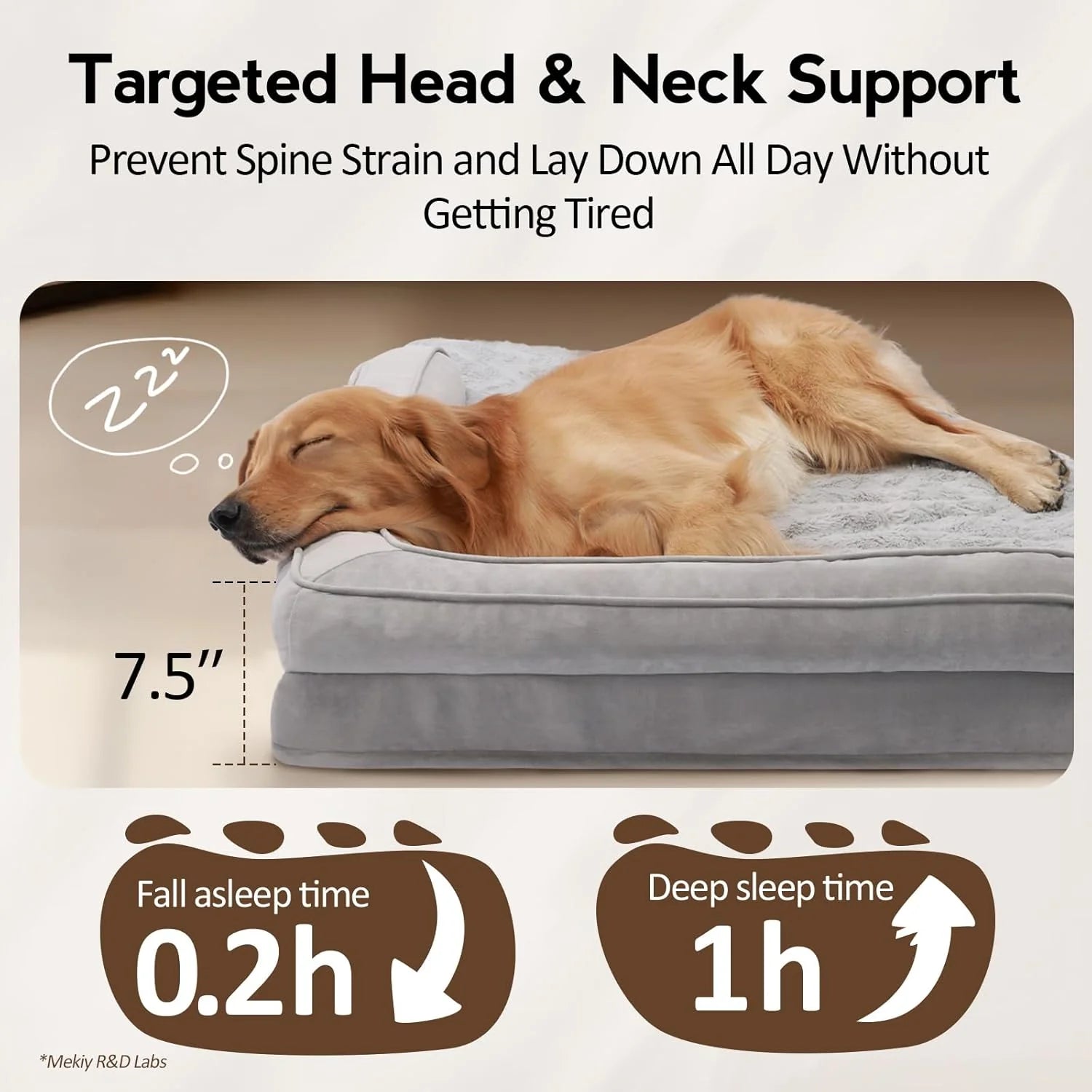 Large Orthopedic Dog Bed 
