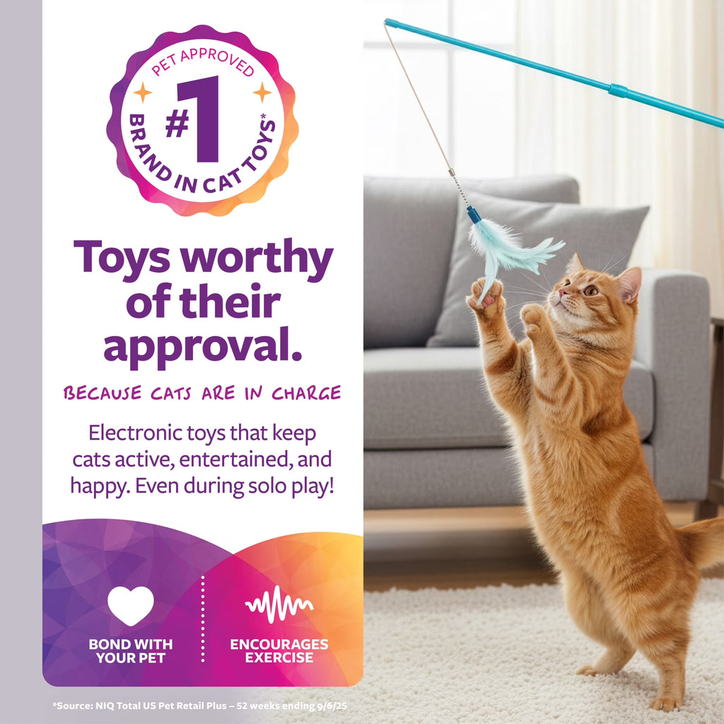 Frisky Flyer, Interactive Cat Toy, Extendable and Retractable Wand with Feathers