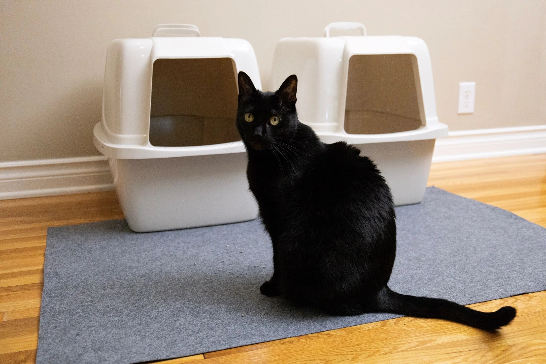 Jumbo Cat Litter Box Mat, Waterproof Urine-Proof, Absorbent, Machine Washable, Contains Mess, Soft on Paws, Kitten Supplies 29X44, Light Grey