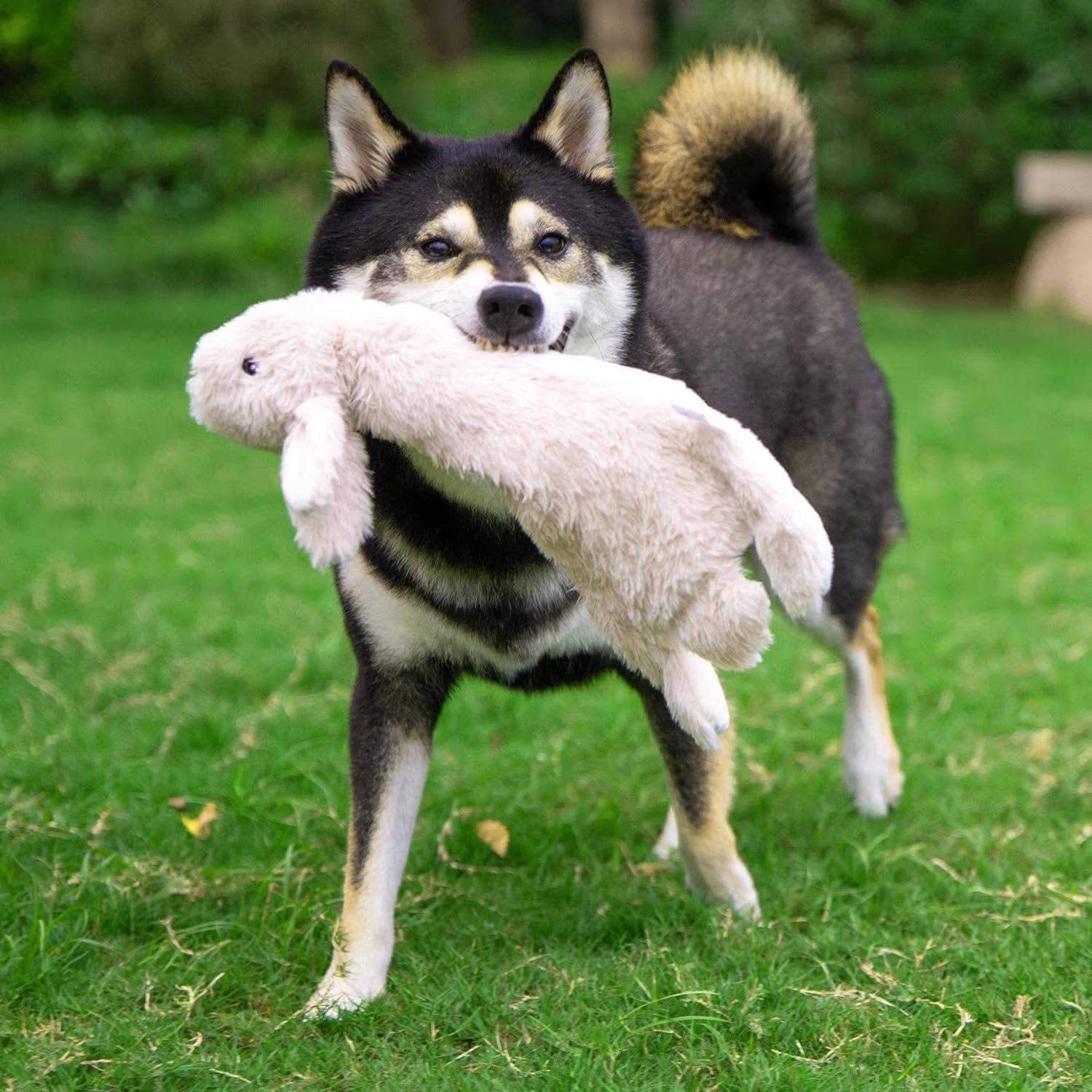 Dog Squeaky Chew Toys Fun Skin,Plush,Log, Small, 4 in 1