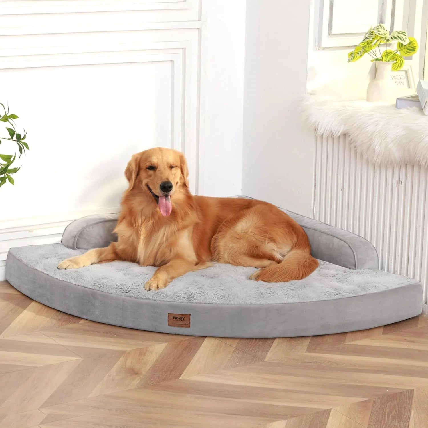 Large Orthopedic Dog Bed 