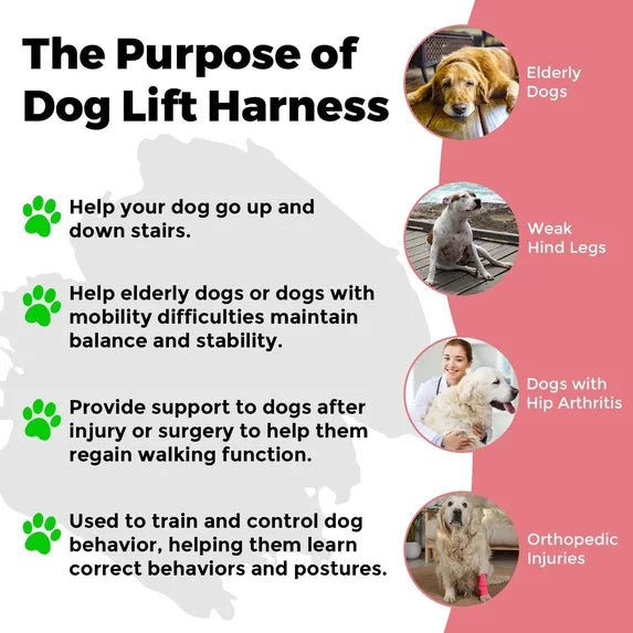Cow Print Dog Hind Leg Lift Harness