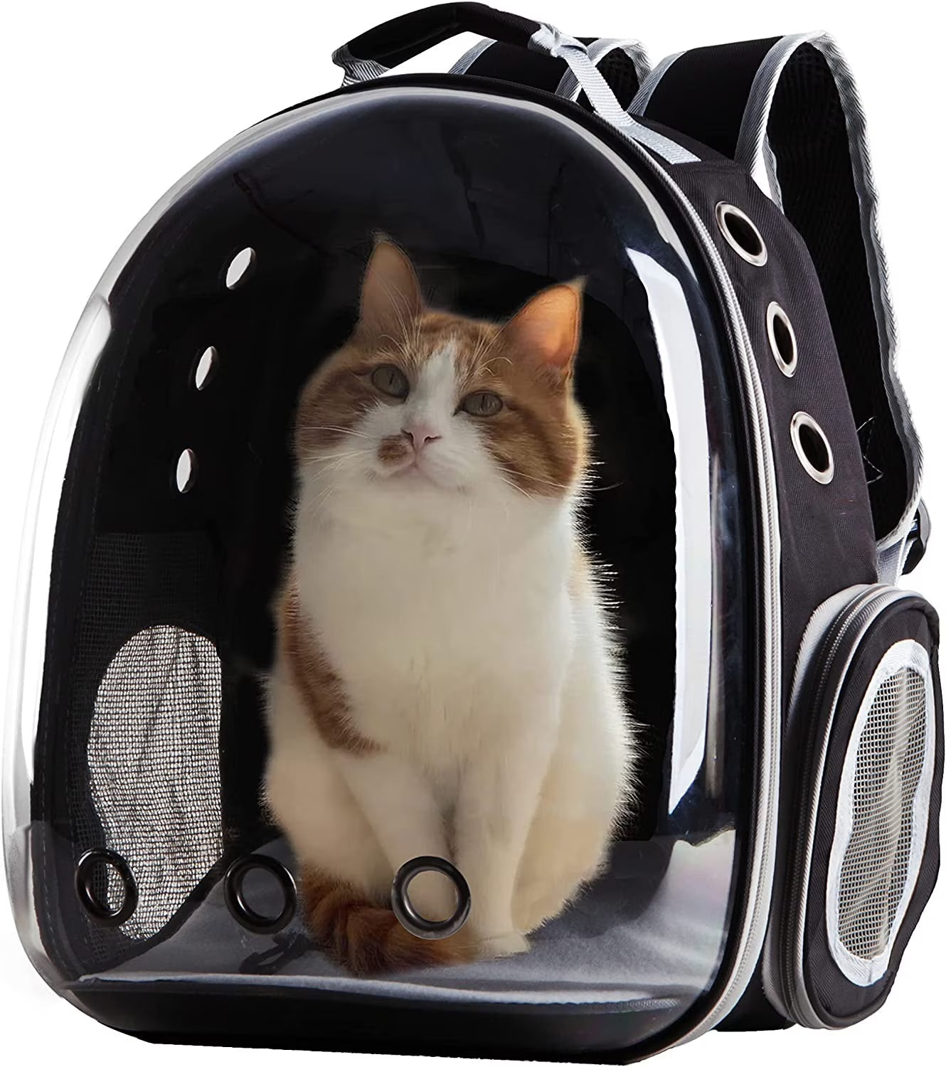 Pet Cat Carrier Backpack Transparent Space Capsule Pet Dog Bubble Bag Hiking Backpack Airline Approved Travel Carrier, Black