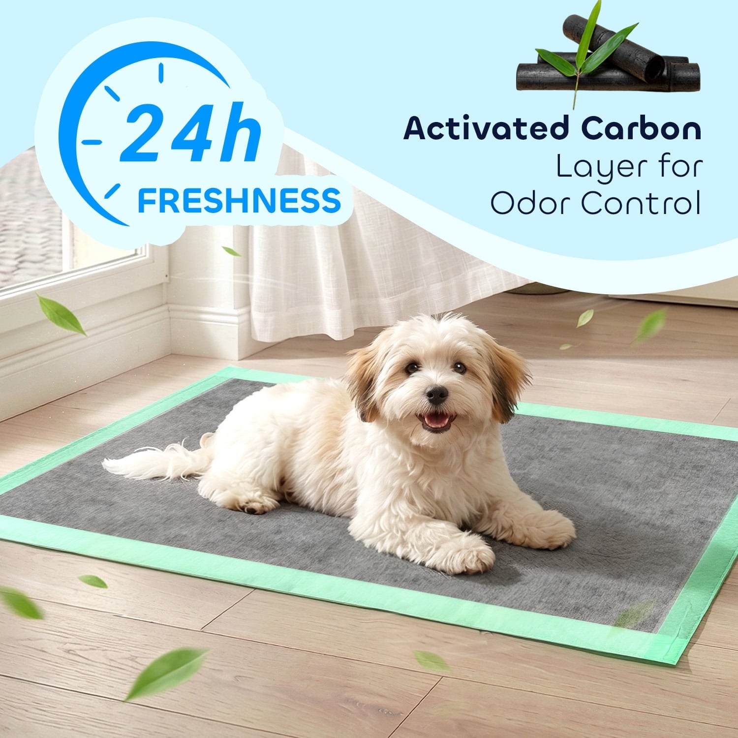 Disposable Pee Pads for Training & Senior Dogs