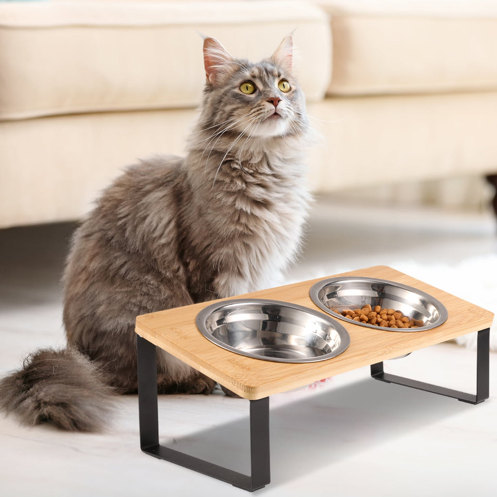 Cat Food Bowls, Elevated Stainless Steel Cat Bowls, 15 Degree Tilted Raised Bowls for Food and Water, with Stand and anti Vomit Feeding Station for Indoor Cats and Small Dogs(Stainless Steel)