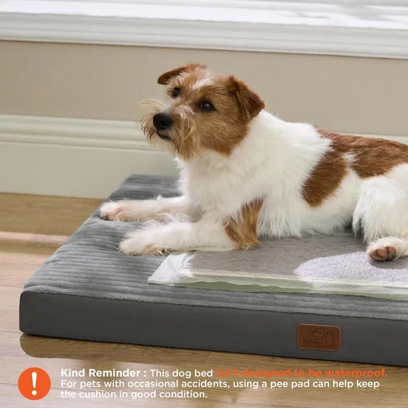 Orthopedic Dog Bed with Washable Cover