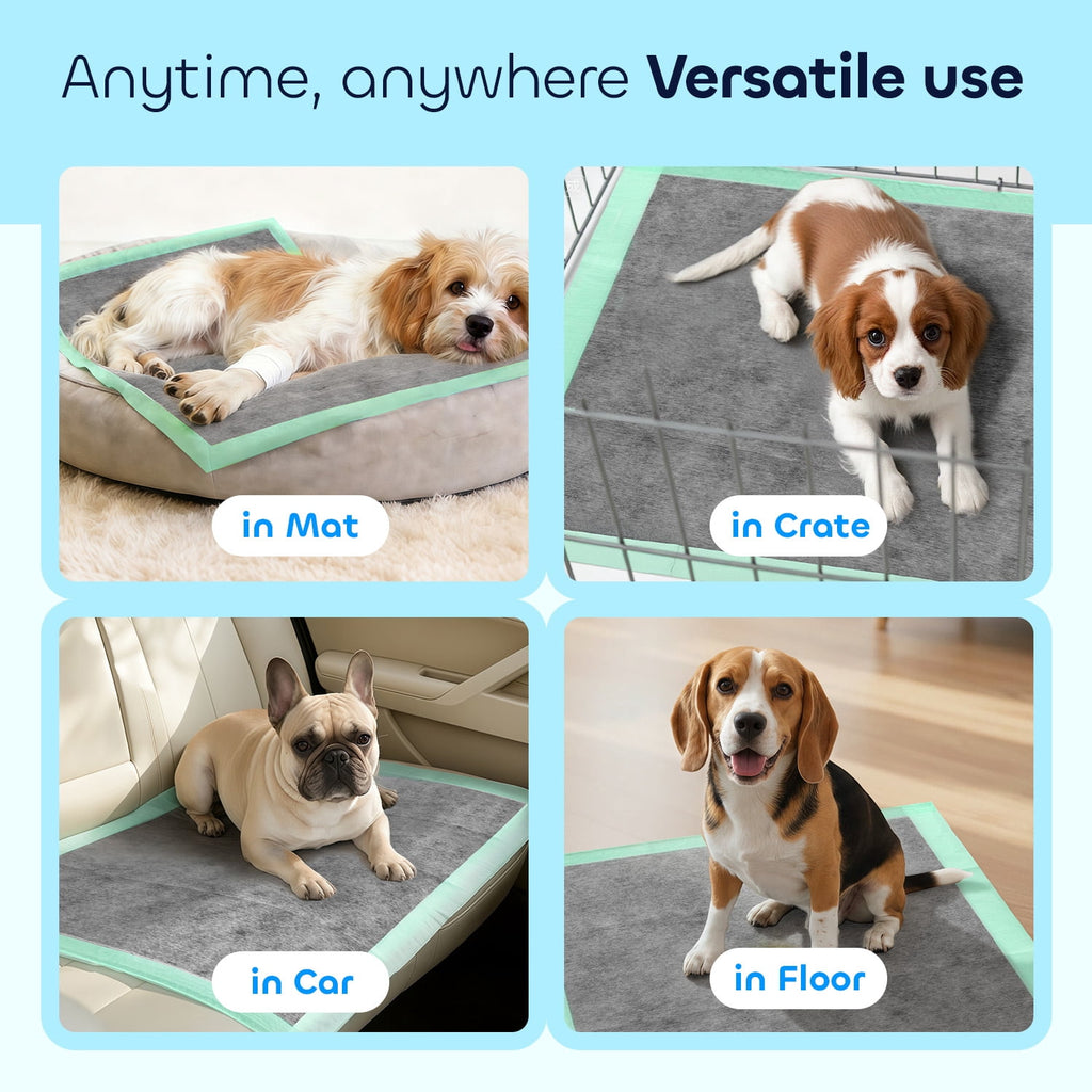 Disposable Pee Pads for Training & Senior Dogs