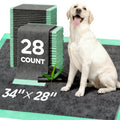Disposable Pee Pads for Training & Senior Dogs