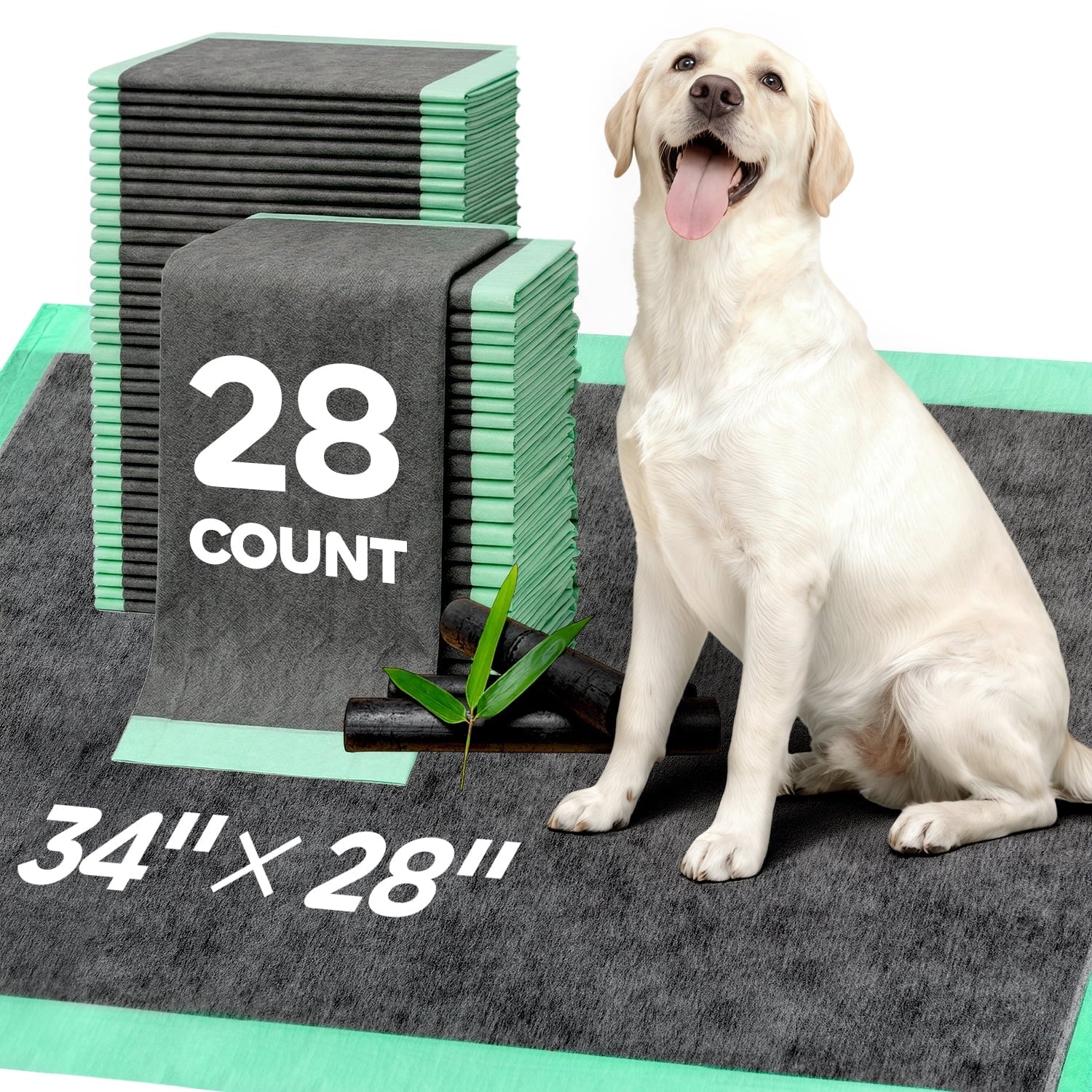 Disposable Pee Pads for Training & Senior Dogs