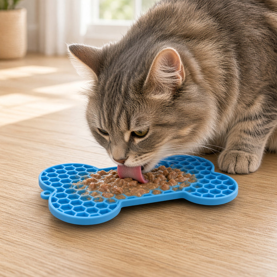 A gray tabby cat licking wet cat food from a bright blue bone-shaped silicone mat on a light wood floor.