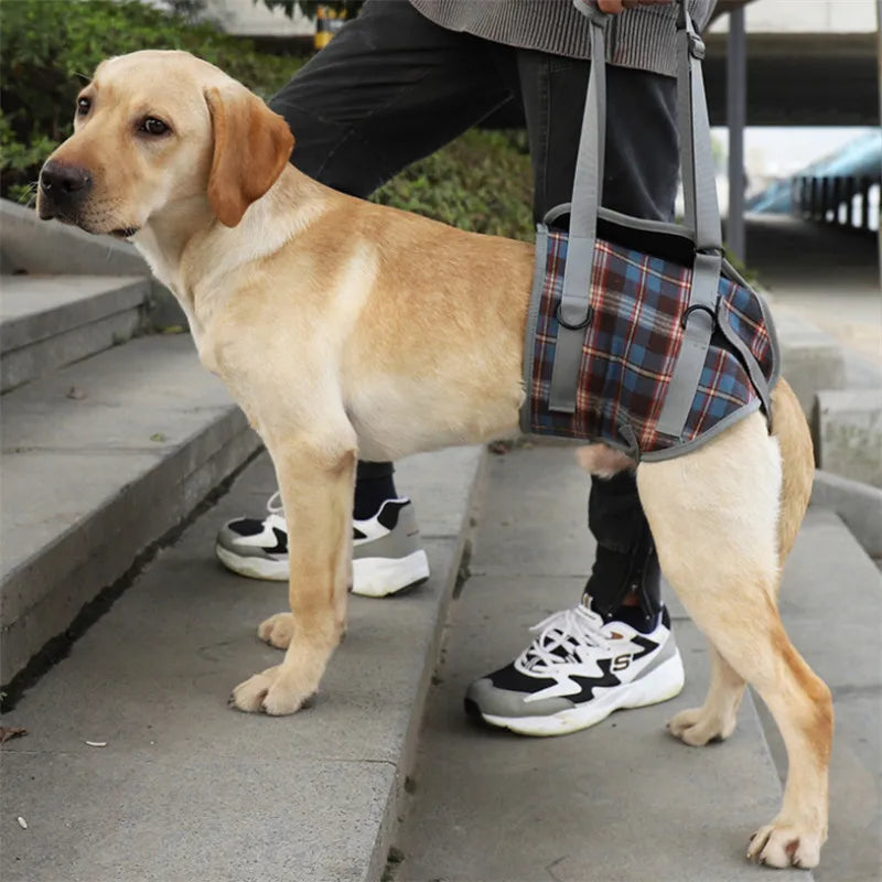 Chest/Waist Lift & Support Harness for Disabled & Senior Dogs