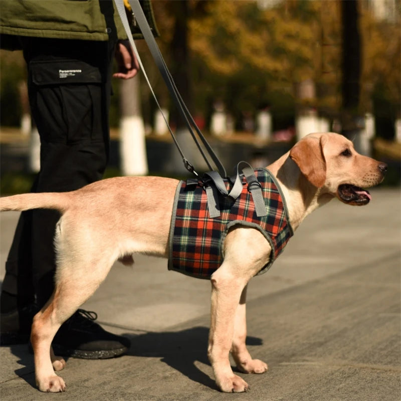 Chest/Waist Lift & Support Harness for Disabled & Senior Dogs