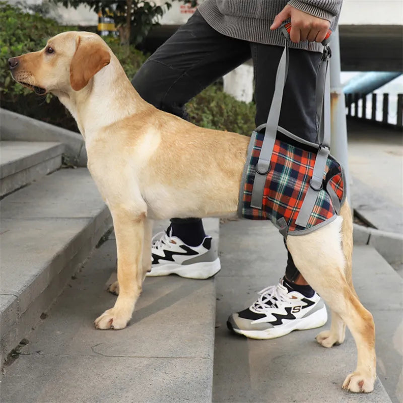 Chest/Waist Lift & Support Harness for Disabled & Senior Dogs