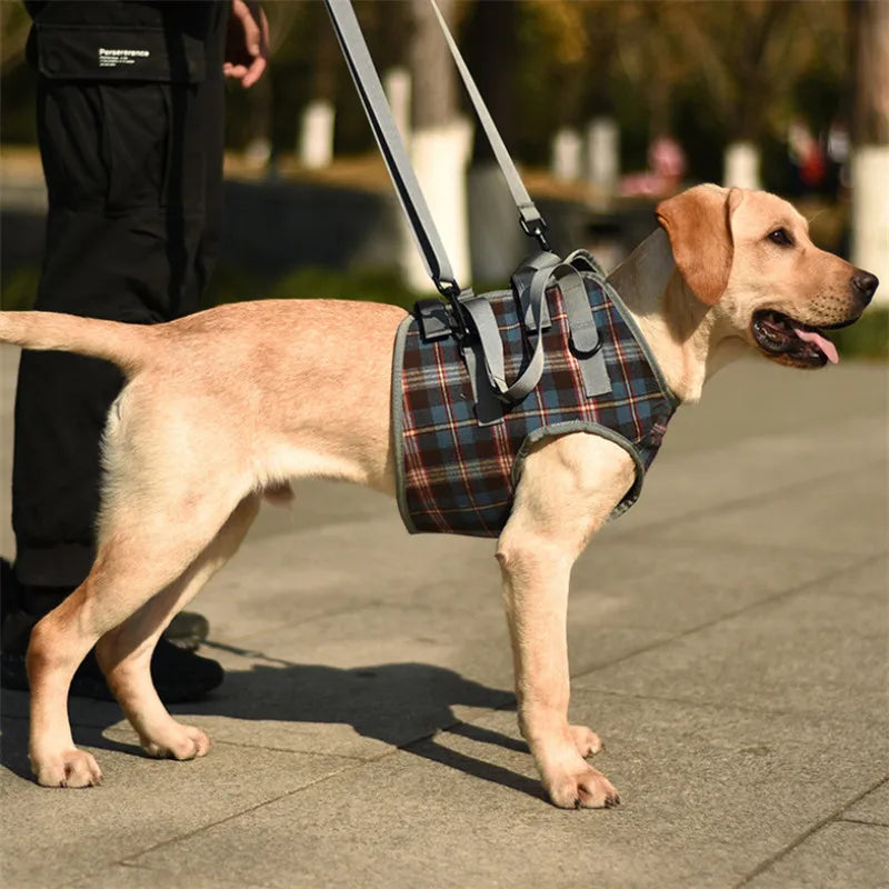Chest/Waist Lift & Support Harness for Disabled & Senior Dogs