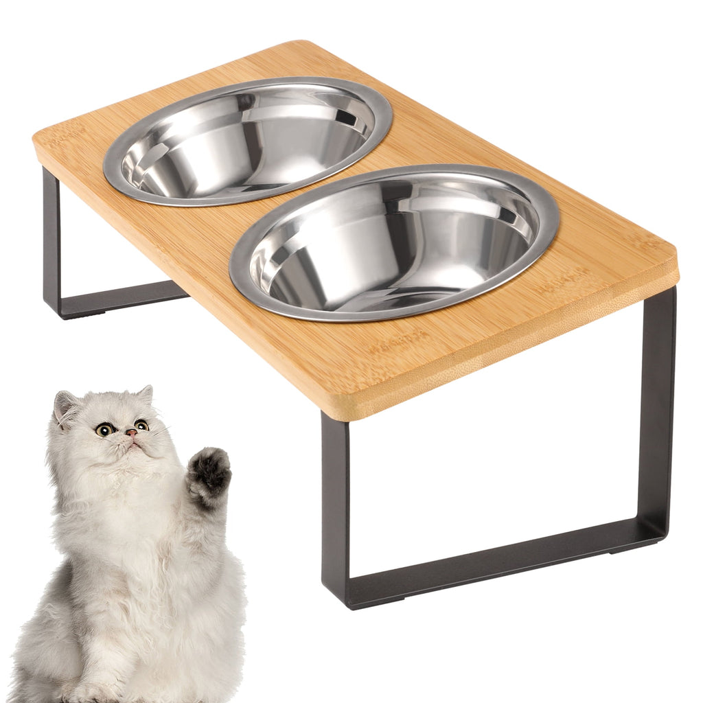 Cat Food Bowls, Elevated Stainless Steel Cat Bowls, 15 Degree Tilted Raised Bowls for Food and Water, with Stand and anti Vomit Feeding Station for Indoor Cats and Small Dogs(Stainless Steel)