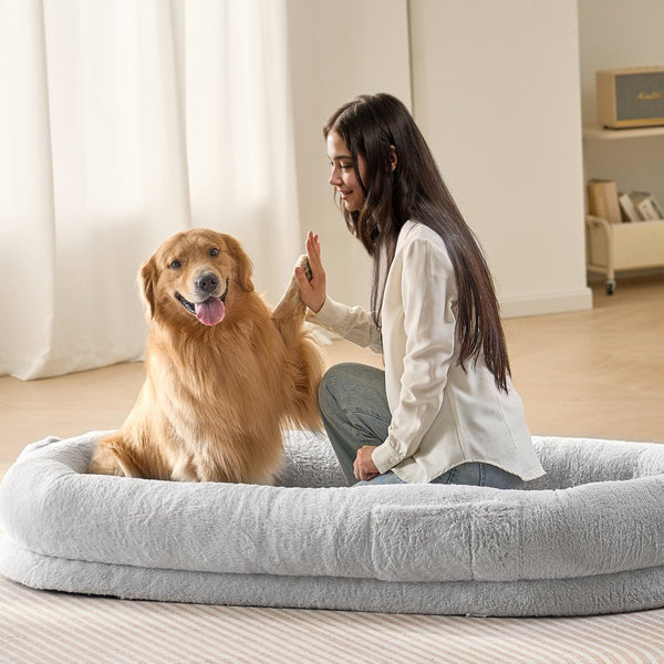 Woman giving a high-five to a golden retriever on a large dog bed in a room with light-colored walls and wooden flooring.