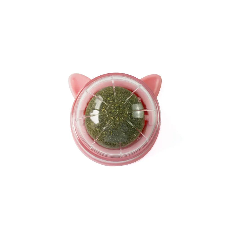 Catnip Wall Ball Toy