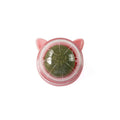 Catnip Wall Ball Toy