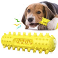 Rubber Toothbrush Chew Stick for Dogs