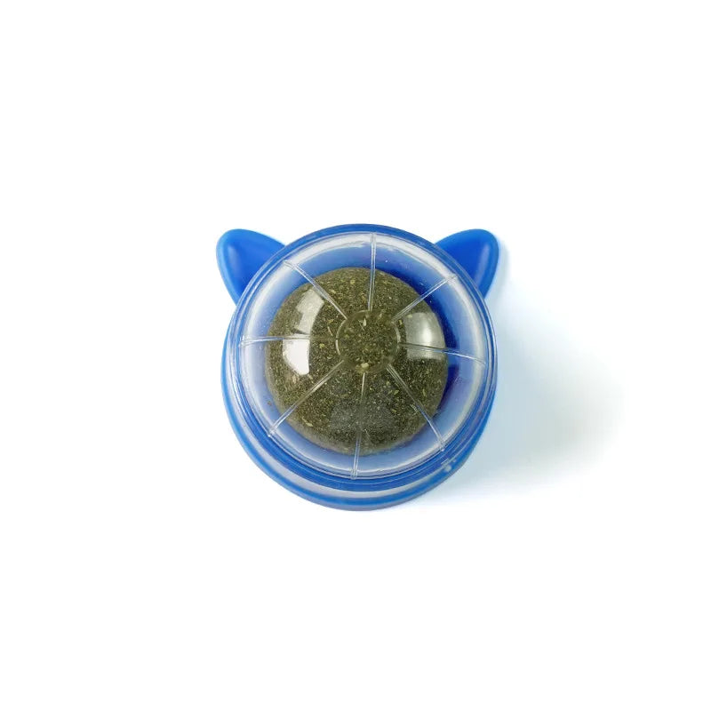 Catnip Wall Ball Toy