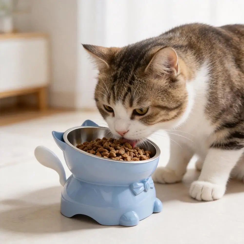Tilted Elevated Stainless Steel Cat Bowl