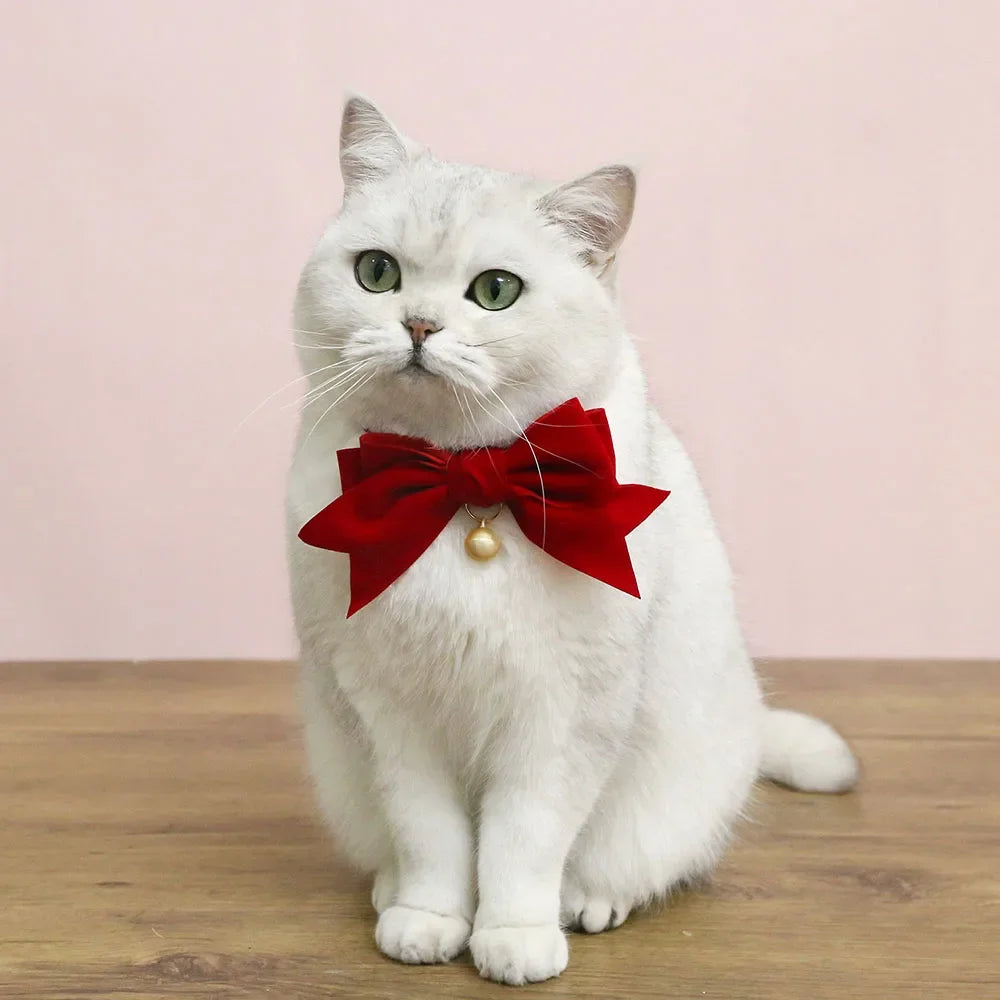 Velvet Bowtie Cat Collar
