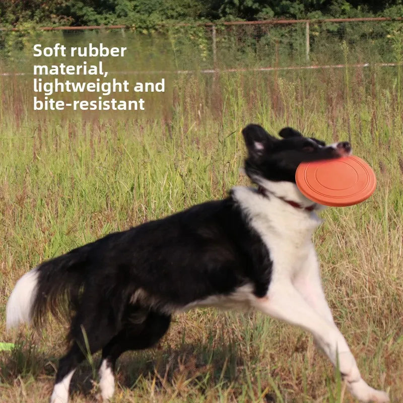 Soft Dog Frisbee