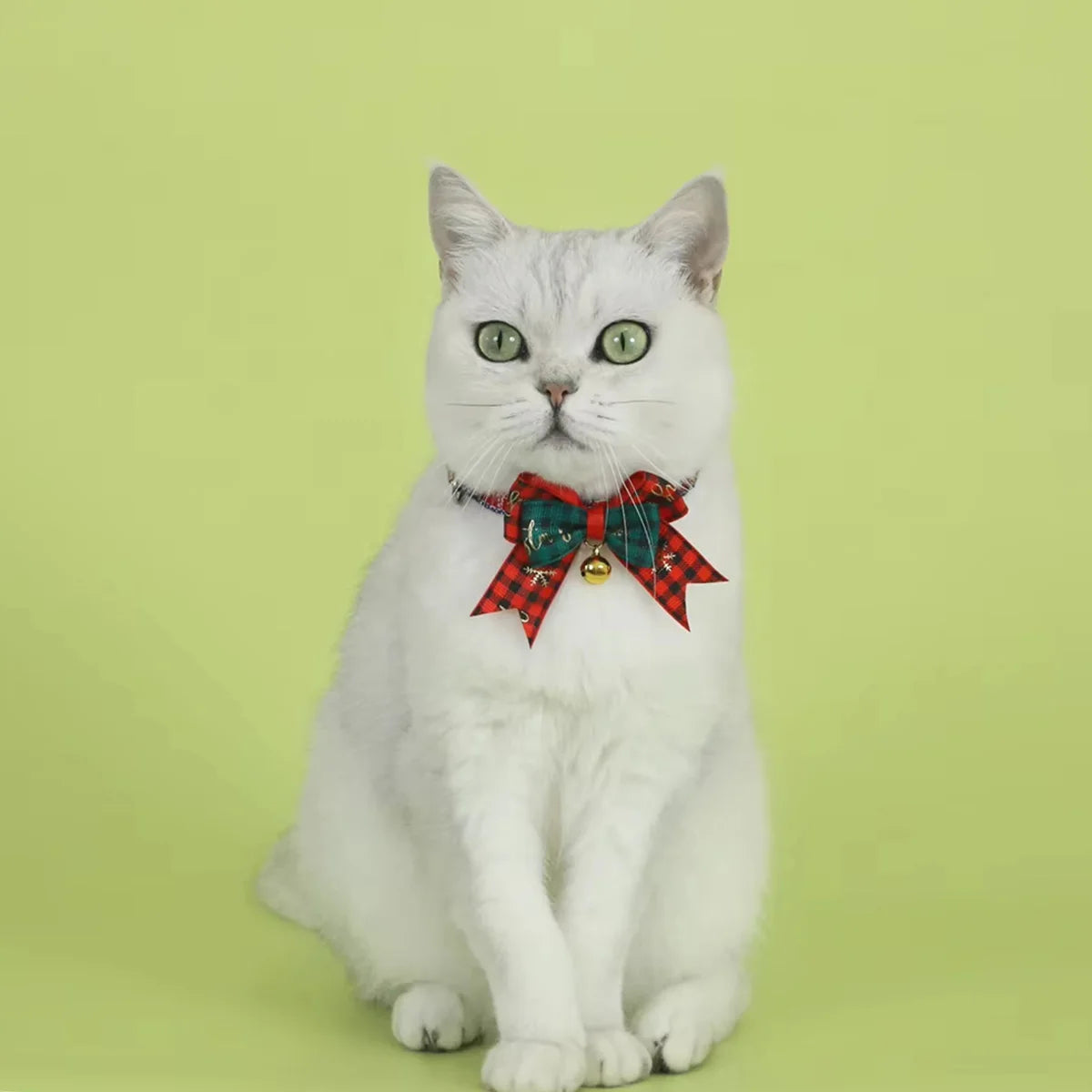 Christmas Bell Collar for Cats & Dogs