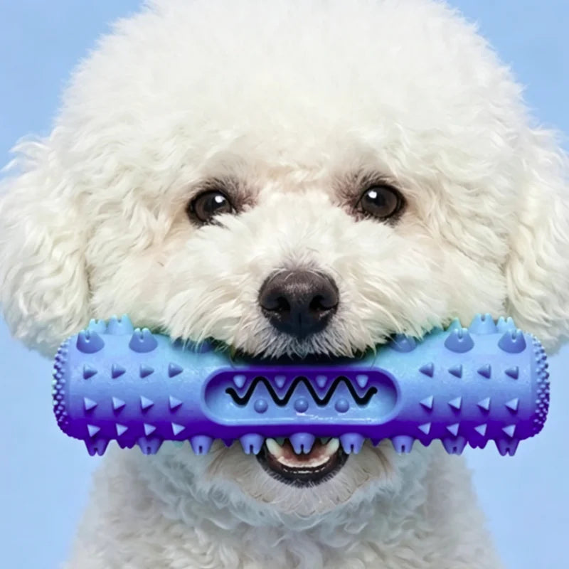 Rubber Toothbrush Chew Stick for Dogs