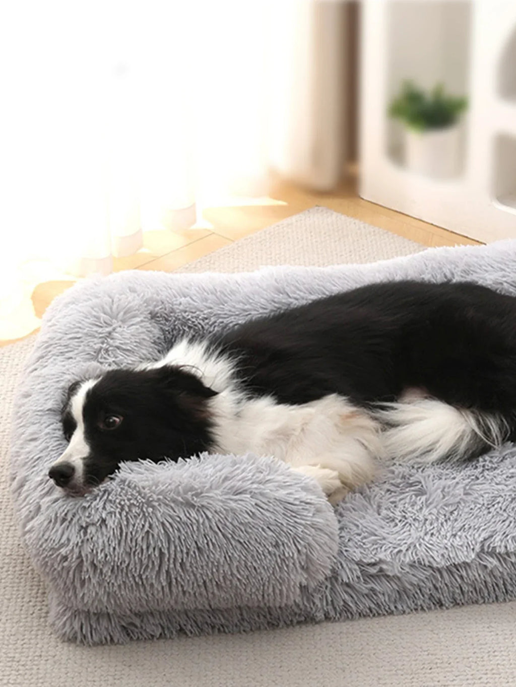 Calming Bed for Dogs of All Sizes