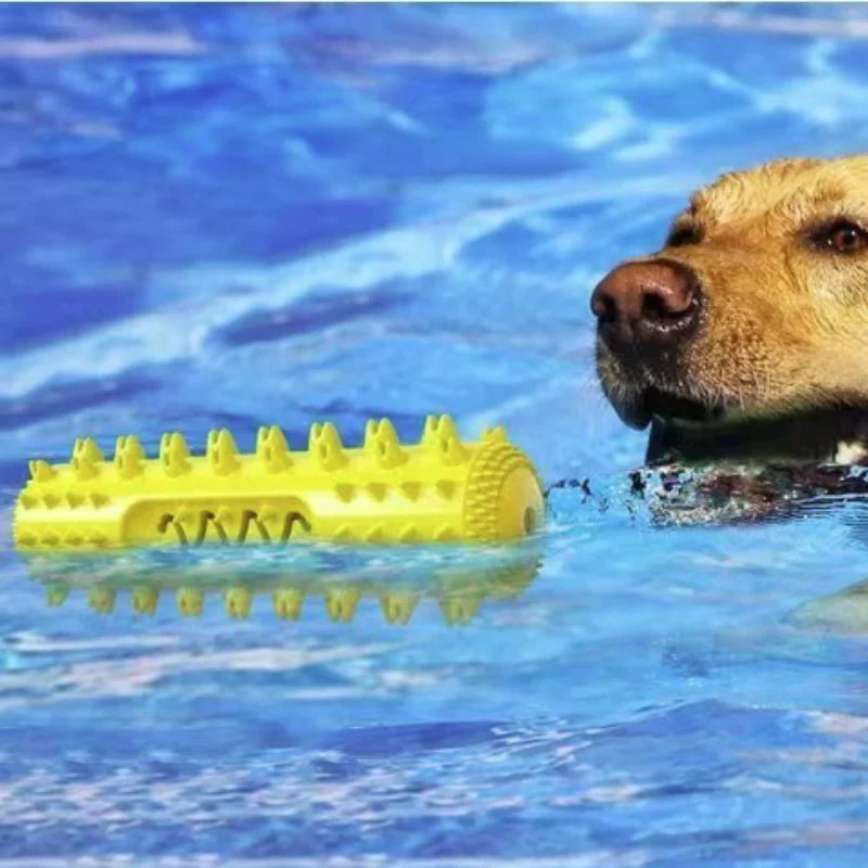 Rubber Toothbrush Chew Stick for Dogs