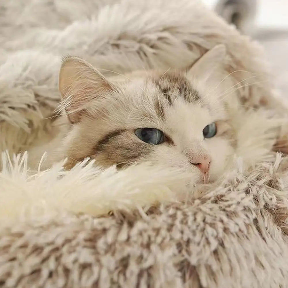 Covered Plush Cat Bed